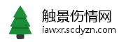触景伤情网